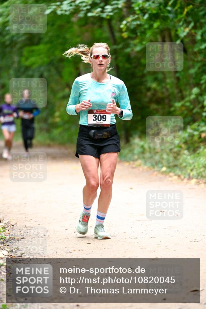 11.10.2026 - Bramfelder Halbmarathon 2026 Dr. Thomas Lammeyer http://msf.ph/oto/10820045 11.10.2026 10:18:58 Laufen 309 meine-sportfotos.de