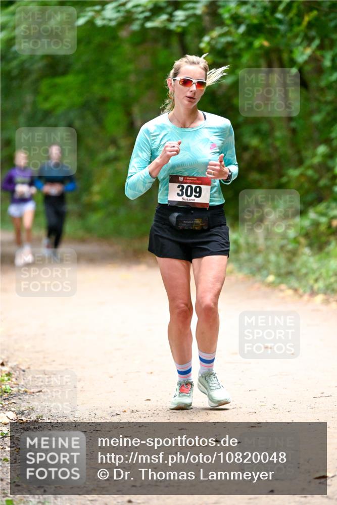11.10.2026 - Bramfelder Halbmarathon 2026 Dr. Thomas Lammeyer http://msf.ph/oto/10820048 11.10.2026 10:18:58 Laufen 309 meine-sportfotos.de