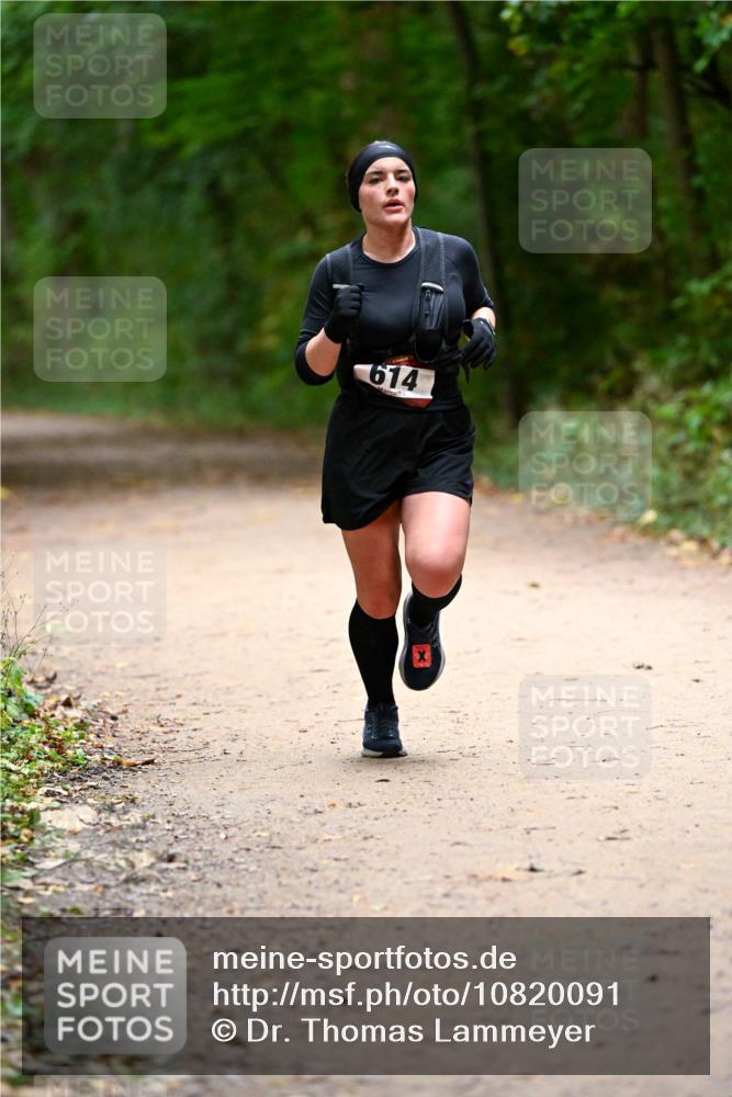 11.10.2026 - Bramfelder Halbmarathon 2026 Dr. Thomas Lammeyer http://msf.ph/oto/10820091 11.10.2026 10:19:10 Laufen 614 meine-sportfotos.de