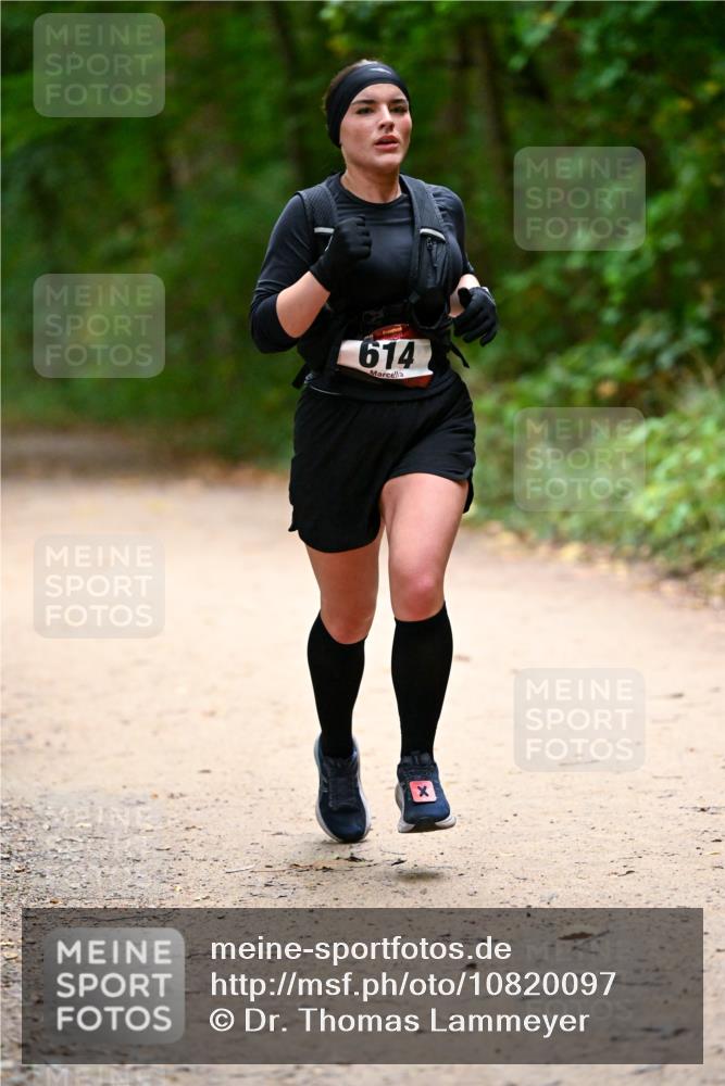 11.10.2026 - Bramfelder Halbmarathon 2026 Dr. Thomas Lammeyer http://msf.ph/oto/10820097 11.10.2026 10:19:11 Laufen 614 meine-sportfotos.de