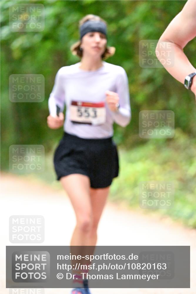 11.10.2026 - Bramfelder Halbmarathon 2026 Dr. Thomas Lammeyer http://msf.ph/oto/10820163 11.10.2026 10:19:37 Laufen 553 meine-sportfotos.de