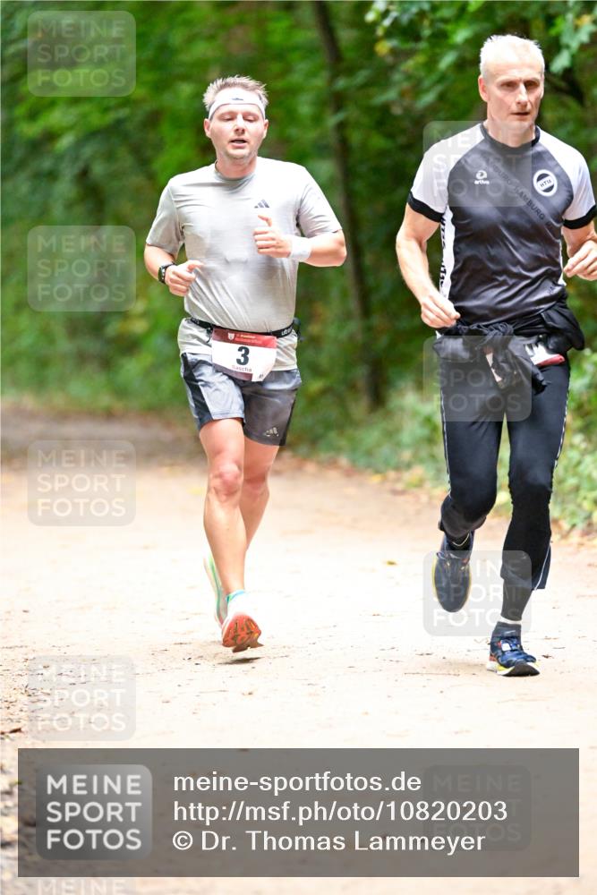 11.10.2026 - Bramfelder Halbmarathon 2026 Dr. Thomas Lammeyer http://msf.ph/oto/10820203 11.10.2026 10:20:08 Laufen 3, 16 meine-sportfotos.de