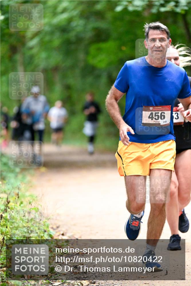 11.10.2026 - Bramfelder Halbmarathon 2026 Dr. Thomas Lammeyer http://msf.ph/oto/10820422 11.10.2026 10:21:26 Laufen 35, 456, 3, 288 meine-sportfotos.de