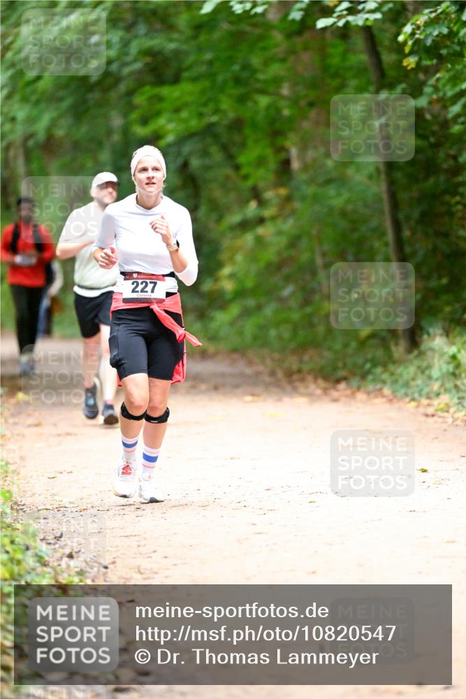 11.10.2026 - Bramfelder Halbmarathon 2026 Dr. Thomas Lammeyer http://msf.ph/oto/10820547 11.10.2026 10:22:01 Laufen 227 meine-sportfotos.de