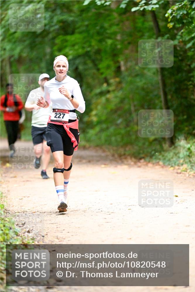 11.10.2026 - Bramfelder Halbmarathon 2026 Dr. Thomas Lammeyer http://msf.ph/oto/10820548 11.10.2026 10:22:01 Laufen 227 meine-sportfotos.de