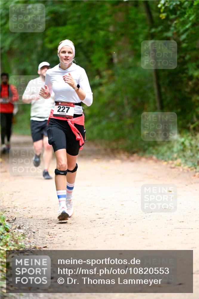 11.10.2026 - Bramfelder Halbmarathon 2026 Dr. Thomas Lammeyer http://msf.ph/oto/10820553 11.10.2026 10:22:02 Laufen 227 meine-sportfotos.de