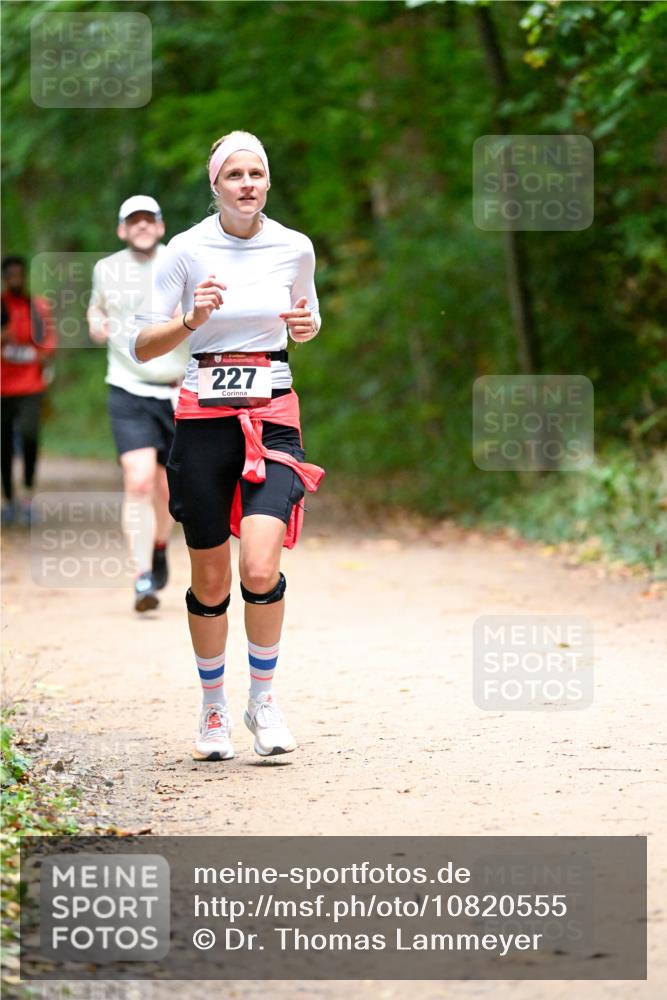 11.10.2026 - Bramfelder Halbmarathon 2026 Dr. Thomas Lammeyer http://msf.ph/oto/10820555 11.10.2026 10:22:02 Laufen 227 meine-sportfotos.de
