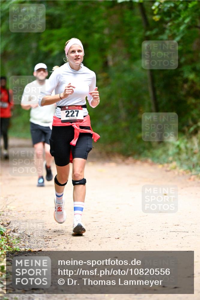11.10.2026 - Bramfelder Halbmarathon 2026 Dr. Thomas Lammeyer http://msf.ph/oto/10820556 11.10.2026 10:22:02 Laufen 227 meine-sportfotos.de