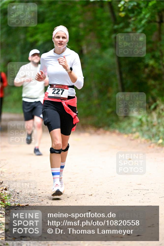 11.10.2026 - Bramfelder Halbmarathon 2026 Dr. Thomas Lammeyer http://msf.ph/oto/10820558 11.10.2026 10:22:02 Laufen 227 meine-sportfotos.de