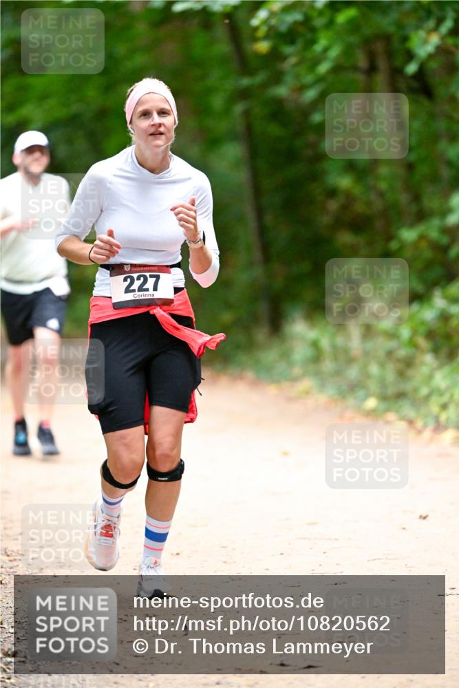 11.10.2026 - Bramfelder Halbmarathon 2026 Dr. Thomas Lammeyer http://msf.ph/oto/10820562 11.10.2026 10:22:03 Laufen 227 meine-sportfotos.de