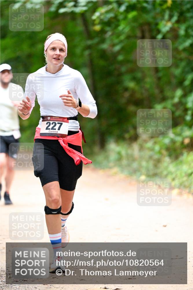 11.10.2026 - Bramfelder Halbmarathon 2026 Dr. Thomas Lammeyer http://msf.ph/oto/10820564 11.10.2026 10:22:03 Laufen 227 meine-sportfotos.de