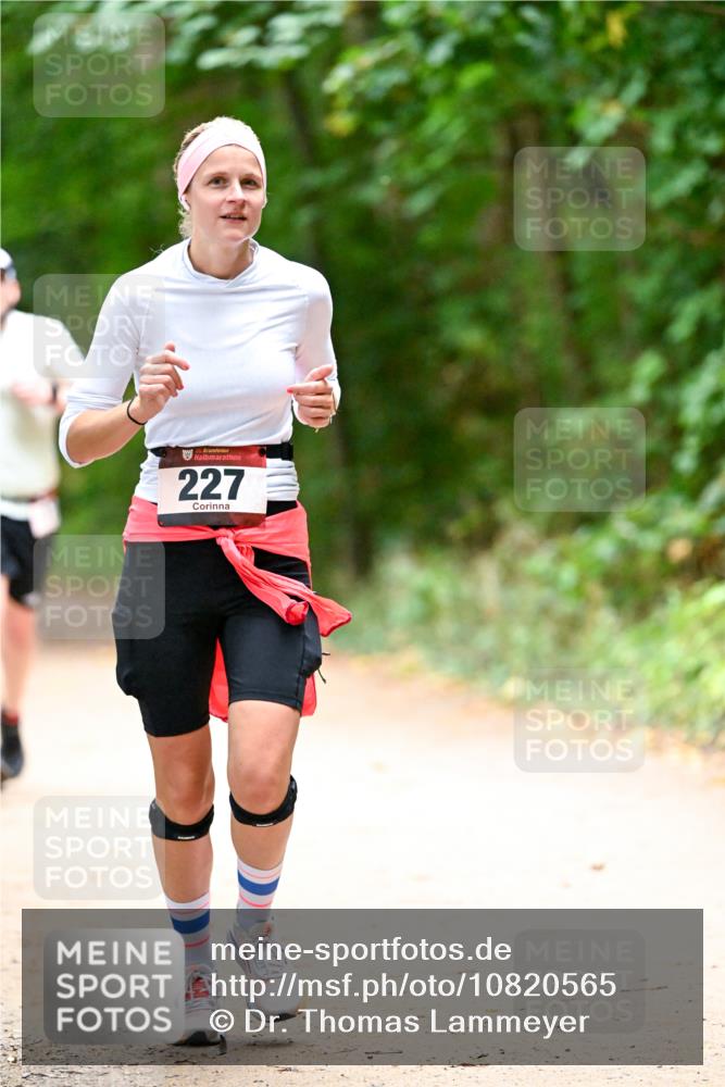 11.10.2026 - Bramfelder Halbmarathon 2026 Dr. Thomas Lammeyer http://msf.ph/oto/10820565 11.10.2026 10:22:03 Laufen 35, 227 meine-sportfotos.de