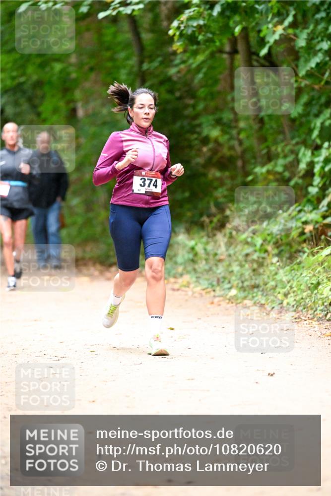 11.10.2026 - Bramfelder Halbmarathon 2026 Dr. Thomas Lammeyer http://msf.ph/oto/10820620 11.10.2026 10:22:24 Laufen 82, 374 meine-sportfotos.de