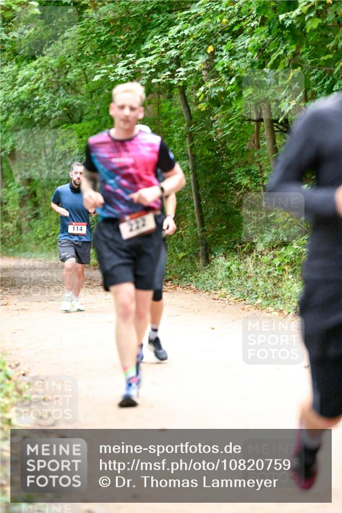 11.10.2026 - Bramfelder Halbmarathon 2026 Dr. Thomas Lammeyer http://msf.ph/oto/10820759 11.10.2026 10:23:03 Laufen 114, 222 meine-sportfotos.de