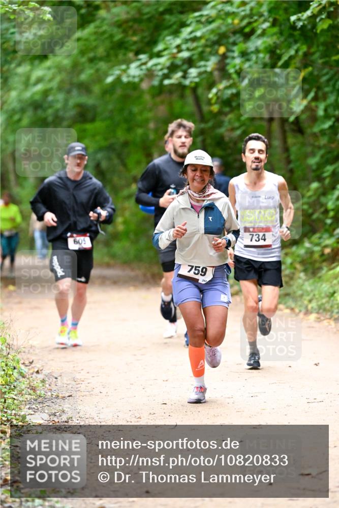 11.10.2026 - Bramfelder Halbmarathon 2026 Dr. Thomas Lammeyer http://msf.ph/oto/10820833 11.10.2026 10:23:21 Laufen 605, 759, 244, 734 meine-sportfotos.de