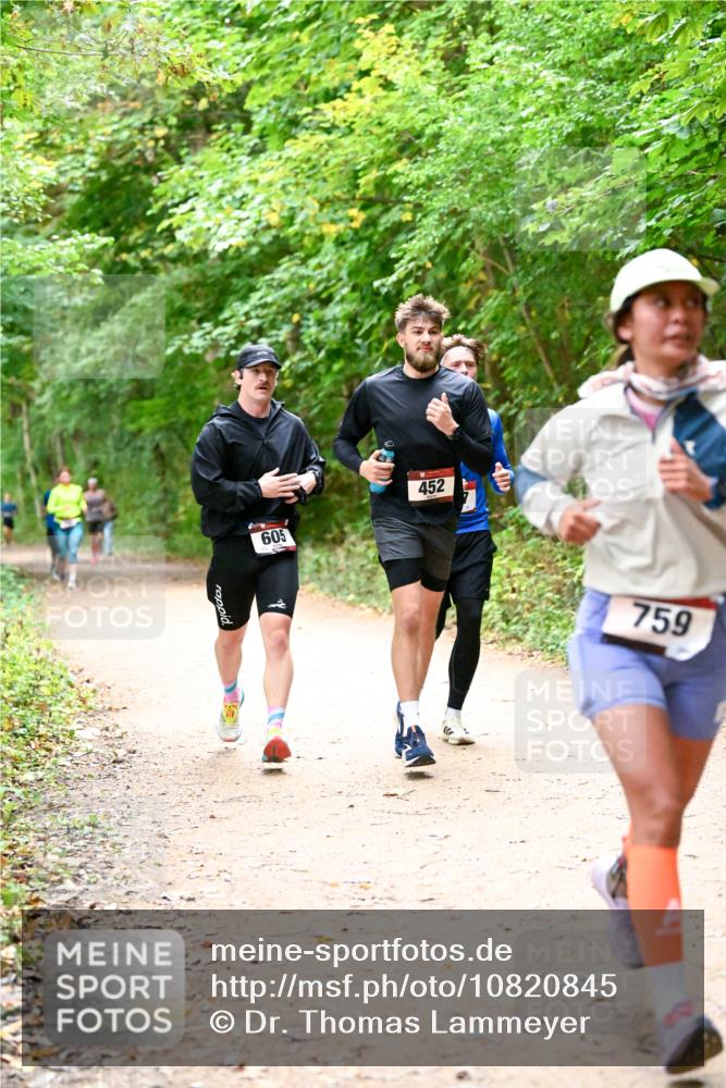 11.10.2026 - Bramfelder Halbmarathon 2026 Dr. Thomas Lammeyer http://msf.ph/oto/10820845 11.10.2026 10:23:23 Laufen 605, 452, 759 meine-sportfotos.de