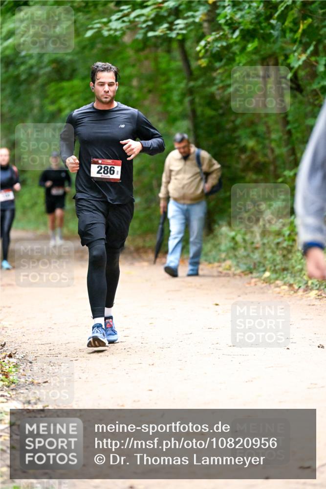 11.10.2026 - Bramfelder Halbmarathon 2026 Dr. Thomas Lammeyer http://msf.ph/oto/10820956 11.10.2026 10:23:48 Laufen 286 meine-sportfotos.de