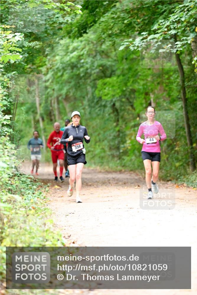 11.10.2026 - Bramfelder Halbmarathon 2026 Dr. Thomas Lammeyer http://msf.ph/oto/10821059 11.10.2026 10:24:09 Laufen 356, 44 meine-sportfotos.de