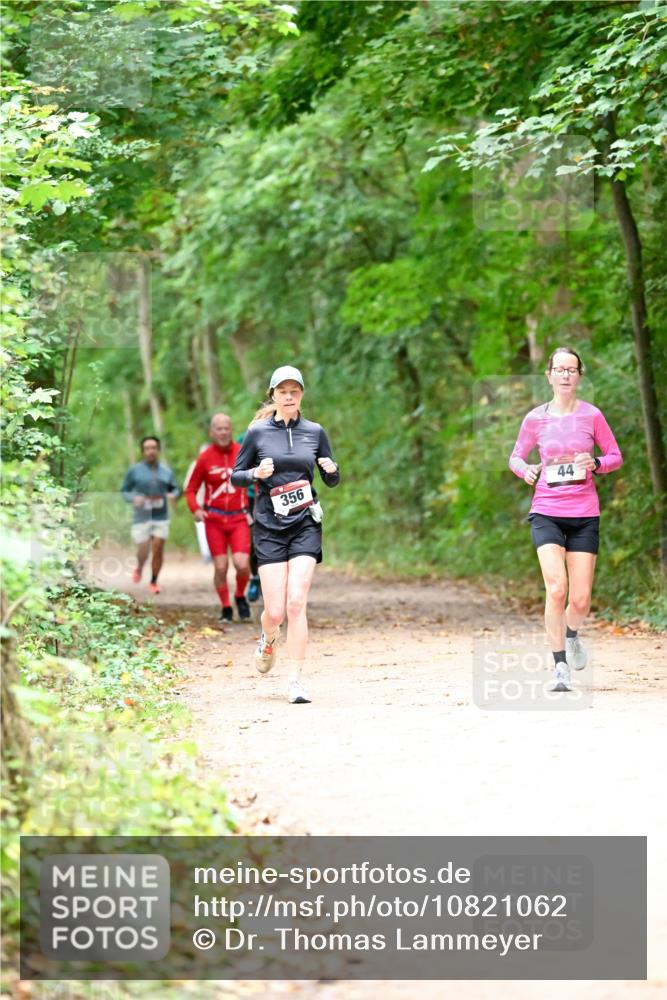 11.10.2026 - Bramfelder Halbmarathon 2026 Dr. Thomas Lammeyer http://msf.ph/oto/10821062 11.10.2026 10:24:10 Laufen 356, 44 meine-sportfotos.de
