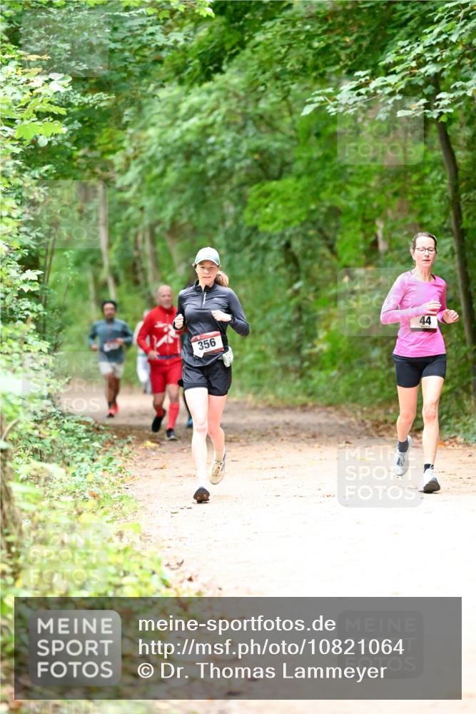 11.10.2026 - Bramfelder Halbmarathon 2026 Dr. Thomas Lammeyer http://msf.ph/oto/10821064 11.10.2026 10:24:10 Laufen 356, 44 meine-sportfotos.de