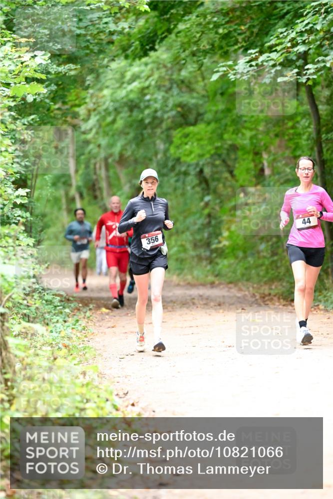 11.10.2026 - Bramfelder Halbmarathon 2026 Dr. Thomas Lammeyer http://msf.ph/oto/10821066 11.10.2026 10:24:11 Laufen 356, 44 meine-sportfotos.de