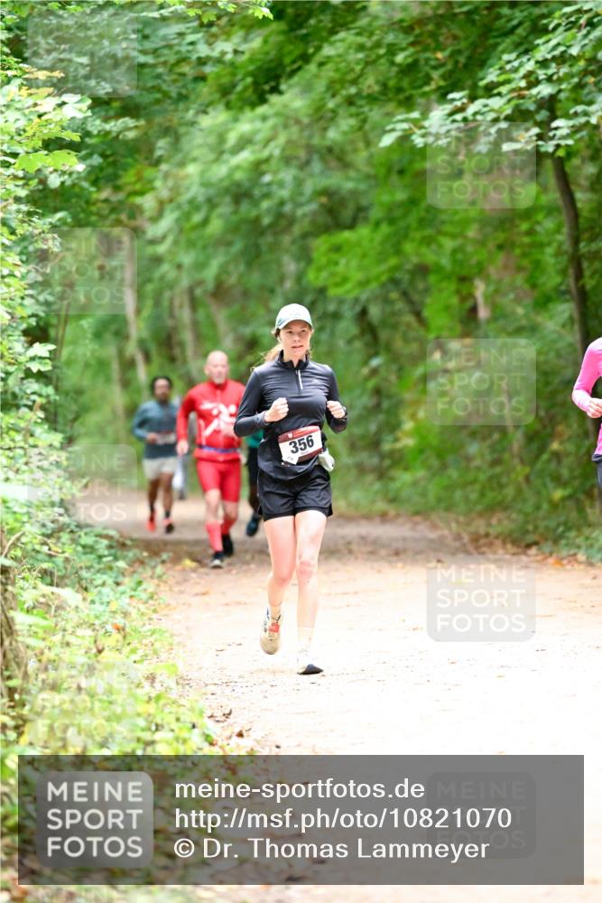 11.10.2026 - Bramfelder Halbmarathon 2026 Dr. Thomas Lammeyer http://msf.ph/oto/10821070 11.10.2026 10:24:11 Laufen 356 meine-sportfotos.de