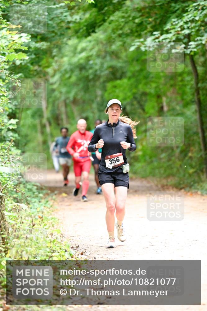11.10.2026 - Bramfelder Halbmarathon 2026 Dr. Thomas Lammeyer http://msf.ph/oto/10821077 11.10.2026 10:24:12 Laufen 356 meine-sportfotos.de