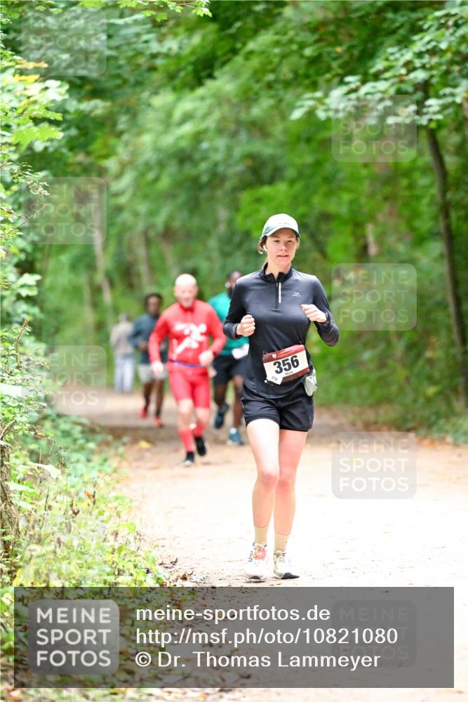 11.10.2026 - Bramfelder Halbmarathon 2026 Dr. Thomas Lammeyer http://msf.ph/oto/10821080 11.10.2026 10:24:13 Laufen 356 meine-sportfotos.de