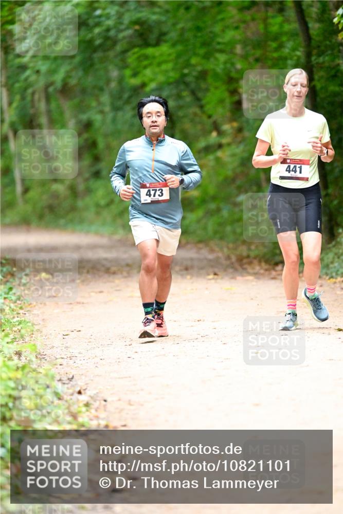 11.10.2026 - Bramfelder Halbmarathon 2026 Dr. Thomas Lammeyer http://msf.ph/oto/10821101 11.10.2026 10:24:20 Laufen 473, 441 meine-sportfotos.de