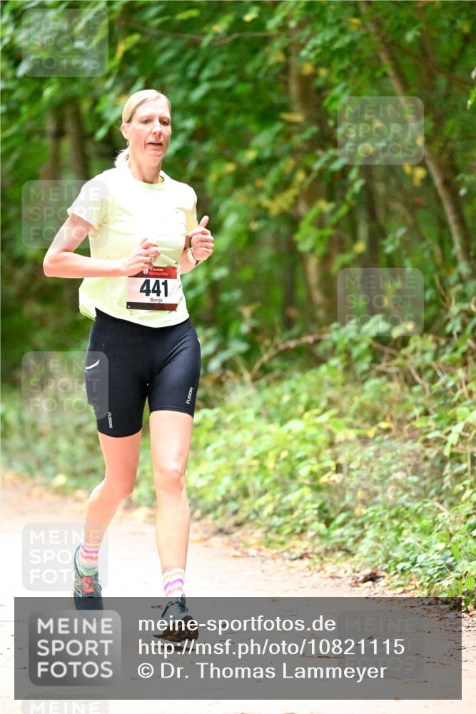 11.10.2026 - Bramfelder Halbmarathon 2026 Dr. Thomas Lammeyer http://msf.ph/oto/10821115 11.10.2026 10:24:22 Laufen 441 meine-sportfotos.de