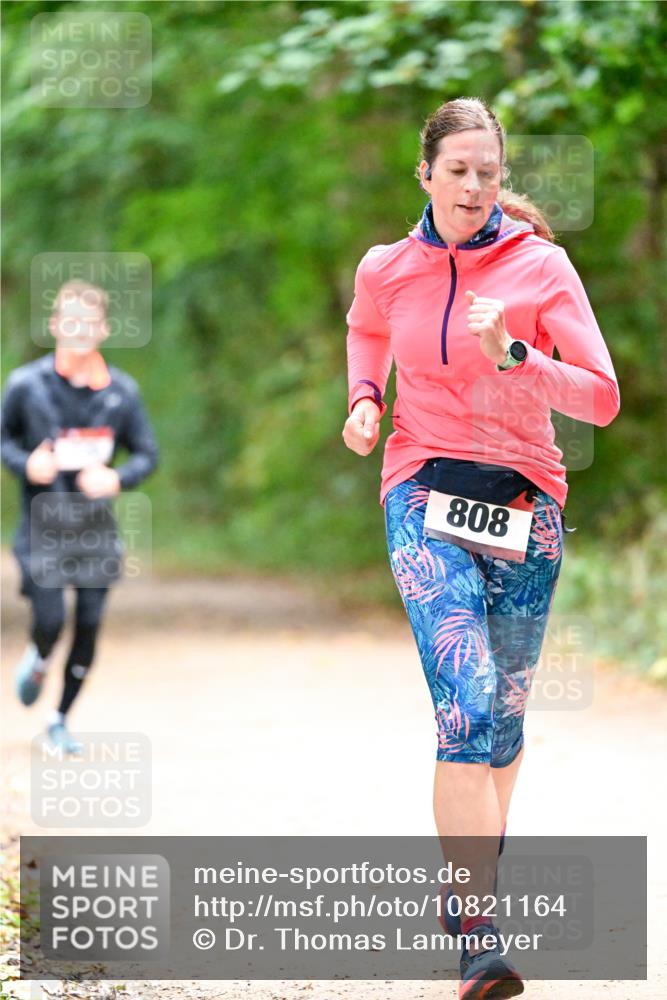 11.10.2026 - Bramfelder Halbmarathon 2026 Dr. Thomas Lammeyer http://msf.ph/oto/10821164 11.10.2026 10:24:46 Laufen 808 meine-sportfotos.de