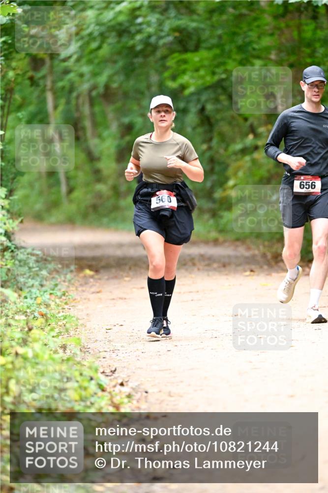 11.10.2026 - Bramfelder Halbmarathon 2026 Dr. Thomas Lammeyer http://msf.ph/oto/10821244 11.10.2026 10:25:07 Laufen 560, 656 meine-sportfotos.de