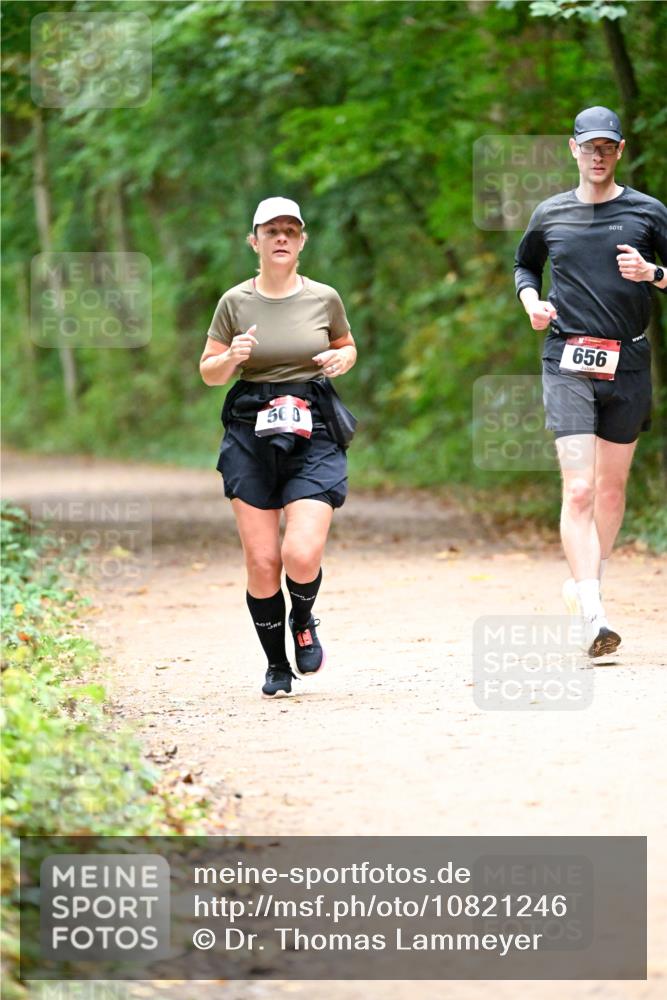 11.10.2026 - Bramfelder Halbmarathon 2026 Dr. Thomas Lammeyer http://msf.ph/oto/10821246 11.10.2026 10:25:07 Laufen 560, 656 meine-sportfotos.de