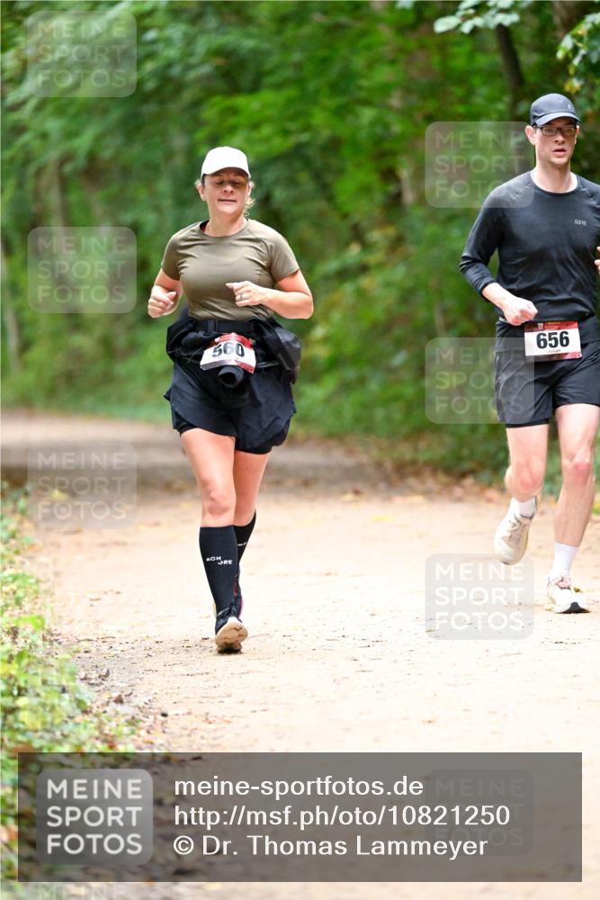 11.10.2026 - Bramfelder Halbmarathon 2026 Dr. Thomas Lammeyer http://msf.ph/oto/10821250 11.10.2026 10:25:08 Laufen 560, 656 meine-sportfotos.de