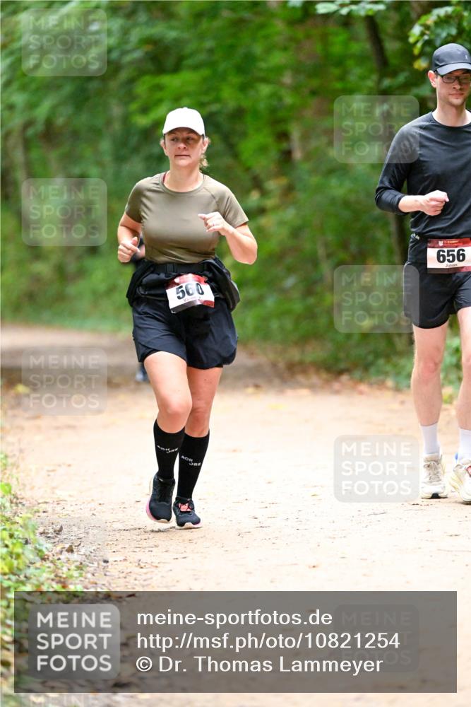 11.10.2026 - Bramfelder Halbmarathon 2026 Dr. Thomas Lammeyer http://msf.ph/oto/10821254 11.10.2026 10:25:08 Laufen 560, 656 meine-sportfotos.de