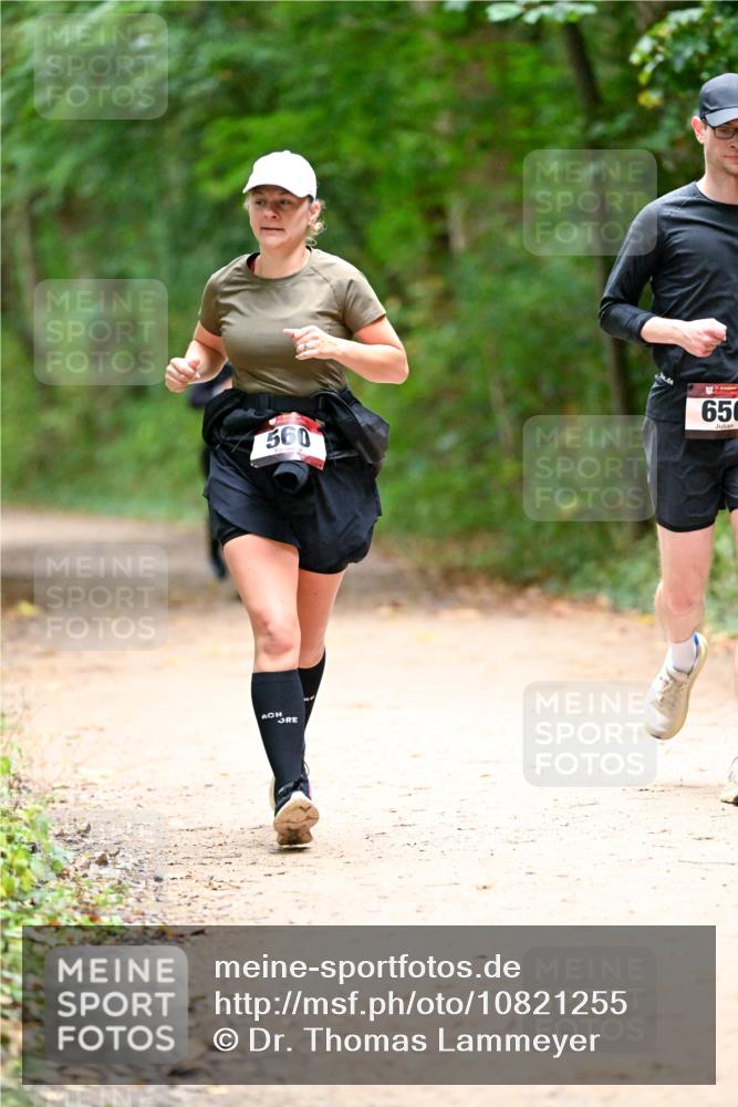 11.10.2026 - Bramfelder Halbmarathon 2026 Dr. Thomas Lammeyer http://msf.ph/oto/10821255 11.10.2026 10:25:09 Laufen 560, 650 meine-sportfotos.de
