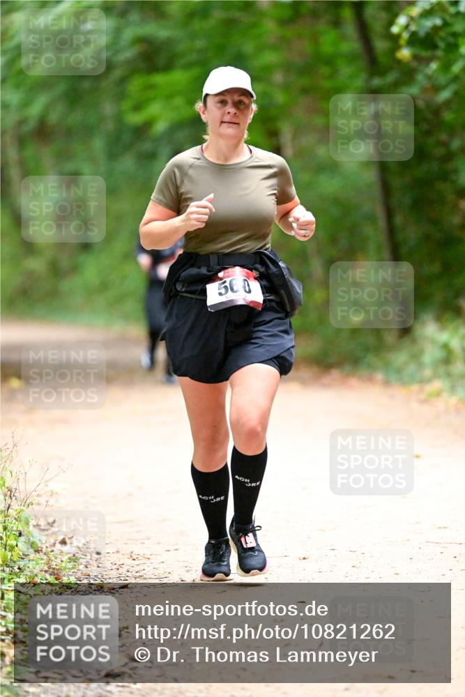 11.10.2026 - Bramfelder Halbmarathon 2026 Dr. Thomas Lammeyer http://msf.ph/oto/10821262 11.10.2026 10:25:09 Laufen 500 meine-sportfotos.de