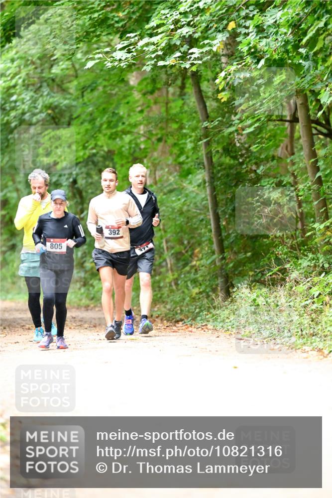 11.10.2026 - Bramfelder Halbmarathon 2026 Dr. Thomas Lammeyer http://msf.ph/oto/10821316 11.10.2026 10:26:10 Laufen 805, 392, 371 meine-sportfotos.de