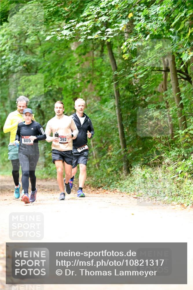 11.10.2026 - Bramfelder Halbmarathon 2026 Dr. Thomas Lammeyer http://msf.ph/oto/10821317 11.10.2026 10:26:10 Laufen 805, 392, 371 meine-sportfotos.de