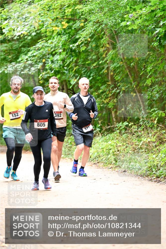 11.10.2026 - Bramfelder Halbmarathon 2026 Dr. Thomas Lammeyer http://msf.ph/oto/10821344 11.10.2026 10:26:14 Laufen 152, 805, 392, 371 meine-sportfotos.de