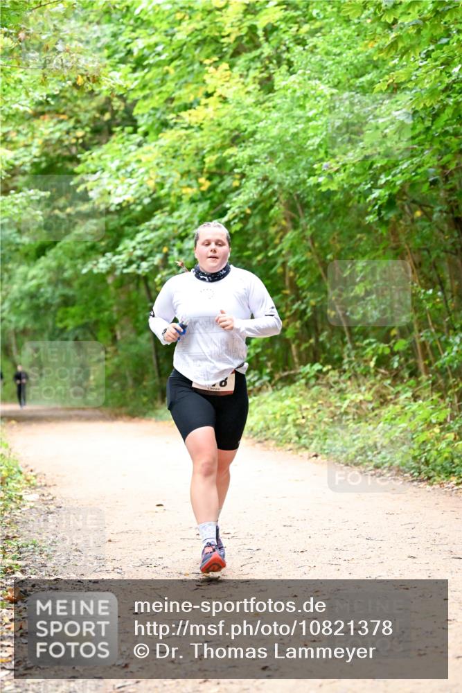 11.10.2026 - Bramfelder Halbmarathon 2026 Dr. Thomas Lammeyer http://msf.ph/oto/10821378 11.10.2026 10:26:27 Laufen  meine-sportfotos.de