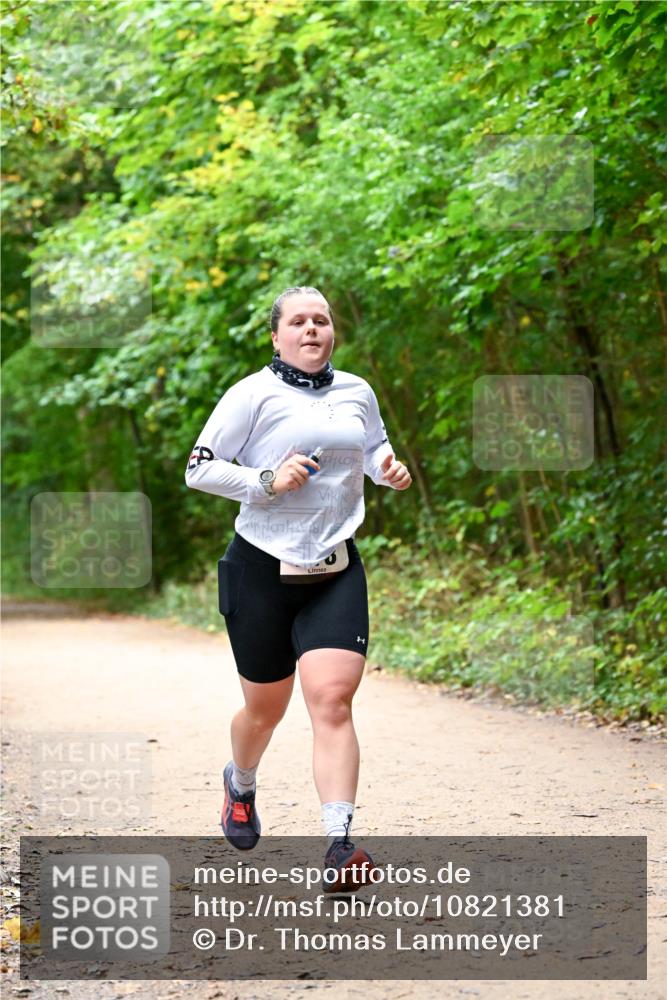 11.10.2026 - Bramfelder Halbmarathon 2026 Dr. Thomas Lammeyer http://msf.ph/oto/10821381 11.10.2026 10:26:27 Laufen  meine-sportfotos.de