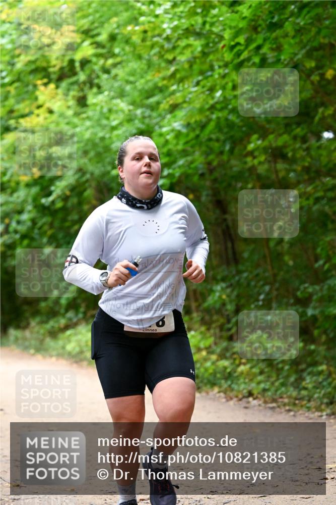 11.10.2026 - Bramfelder Halbmarathon 2026 Dr. Thomas Lammeyer http://msf.ph/oto/10821385 11.10.2026 10:26:28 Laufen  meine-sportfotos.de