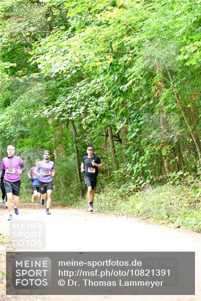 11.10.2026 - Bramfelder Halbmarathon 2026 Dr. Thomas Lammeyer http://msf.ph/oto/10821391 11.10.2026 10:26:55 Laufen 565, 444, 439, 327 meine-sportfotos.de