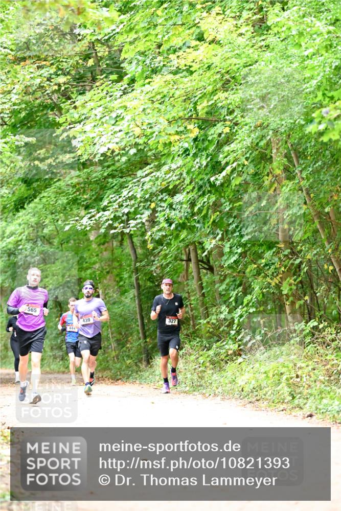 11.10.2026 - Bramfelder Halbmarathon 2026 Dr. Thomas Lammeyer http://msf.ph/oto/10821393 11.10.2026 10:26:55 Laufen 565, 444, 439, 327 meine-sportfotos.de