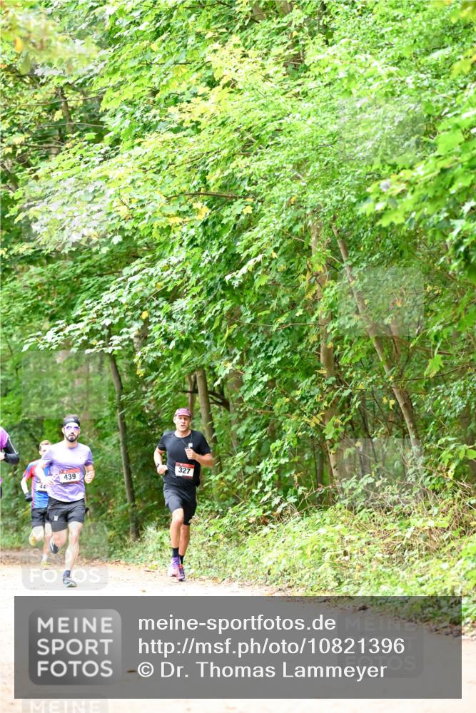 11.10.2026 - Bramfelder Halbmarathon 2026 Dr. Thomas Lammeyer http://msf.ph/oto/10821396 11.10.2026 10:26:56 Laufen 44, 439, 327 meine-sportfotos.de