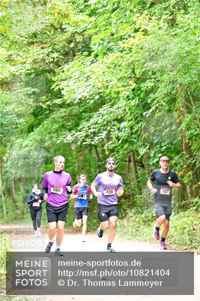11.10.2026 - Bramfelder Halbmarathon 2026 Dr. Thomas Lammeyer http://msf.ph/oto/10821404 11.10.2026 10:26:57 Laufen 495, 565, 439, 327 meine-sportfotos.de