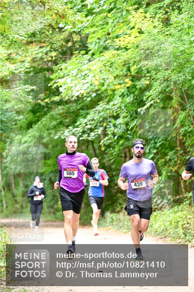 11.10.2026 - Bramfelder Halbmarathon 2026 Dr. Thomas Lammeyer http://msf.ph/oto/10821410 11.10.2026 10:26:58 Laufen 565, 444, 439 meine-sportfotos.de