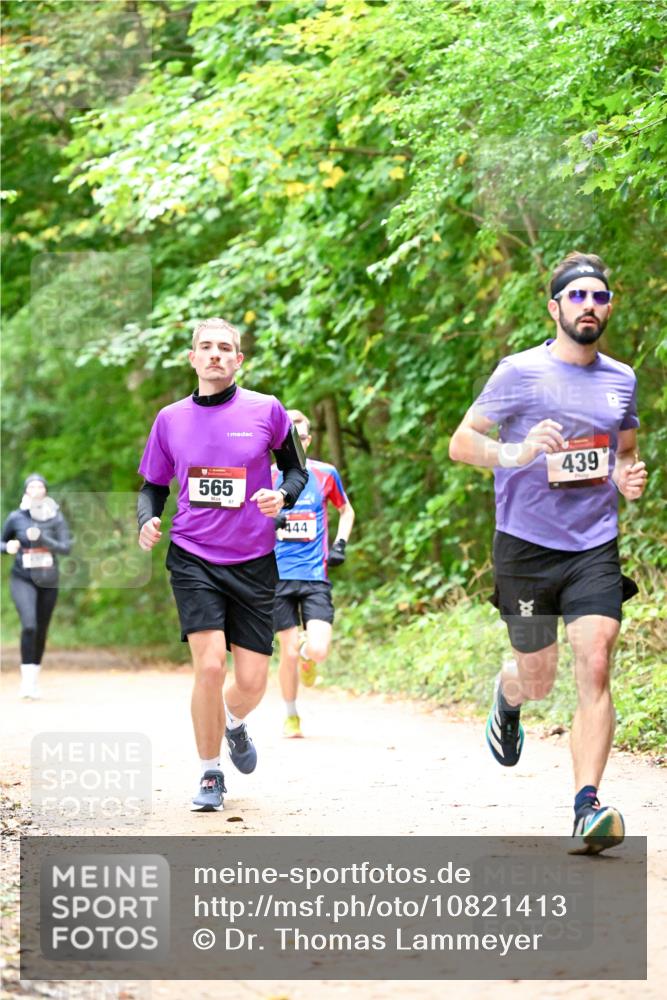 11.10.2026 - Bramfelder Halbmarathon 2026 Dr. Thomas Lammeyer http://msf.ph/oto/10821413 11.10.2026 10:26:59 Laufen 565, 444, 439 meine-sportfotos.de