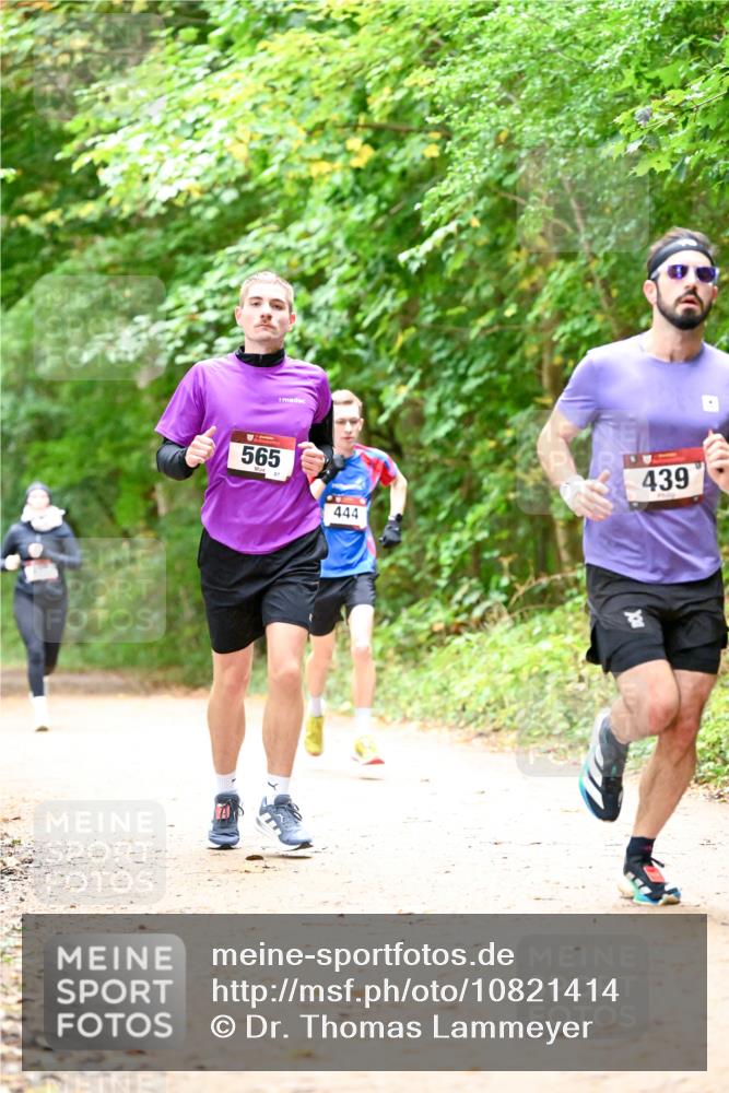 11.10.2026 - Bramfelder Halbmarathon 2026 Dr. Thomas Lammeyer http://msf.ph/oto/10821414 11.10.2026 10:26:59 Laufen 565, 87, 439, 444 meine-sportfotos.de